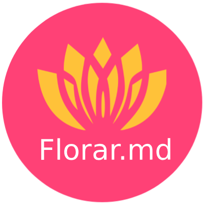 Logo Florar